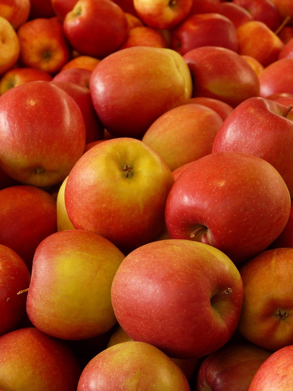 apples, fruit, food, fresh, healthy, nutrition, vitamins, ripe, red apples, harvest, produce, apples, apples, apples, apples, apples